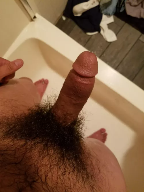 I love my hair and my cock! what do you think of it? by Tight-Surprise4831
