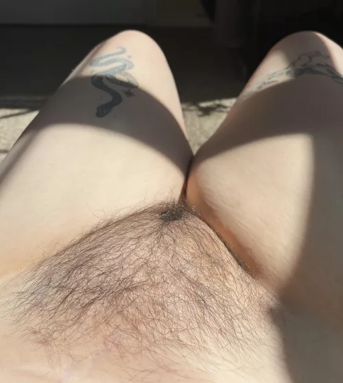 i love my hairy bush🥺 by melkteeth