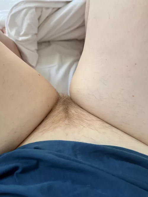 I love my little ginger triangle 🐈 by yrthccgngrdrmgrl