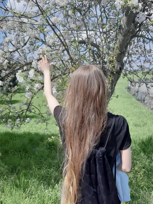 I love the nature in the spring by buried_corpse