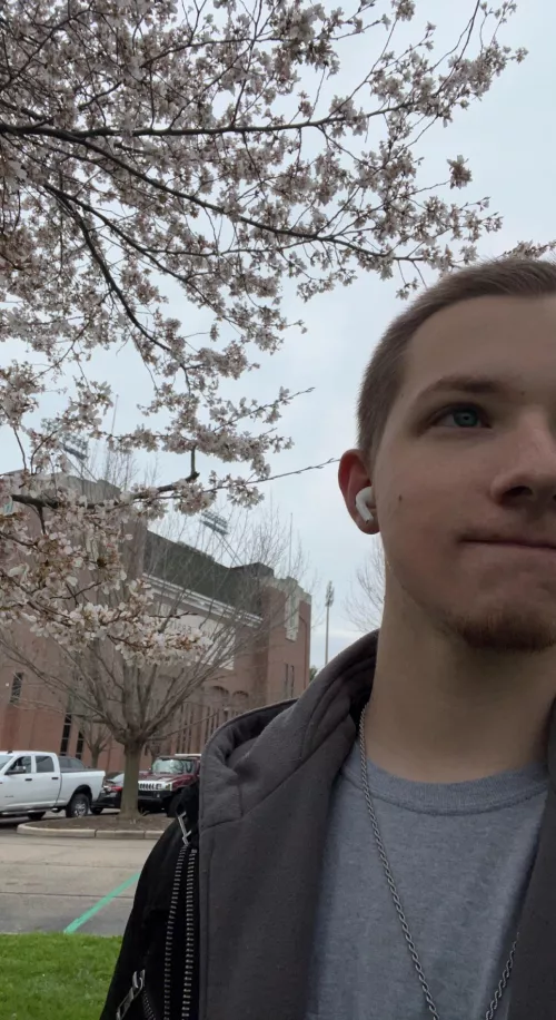 I love the trees that grow around here 😁 by xzse_x