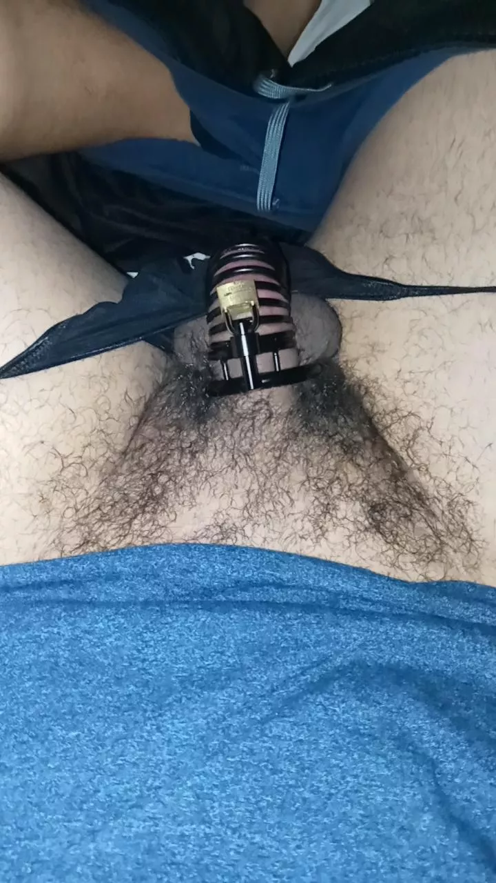 I love the way my hard cock feels trying to get out of its cage posted by mnialro
