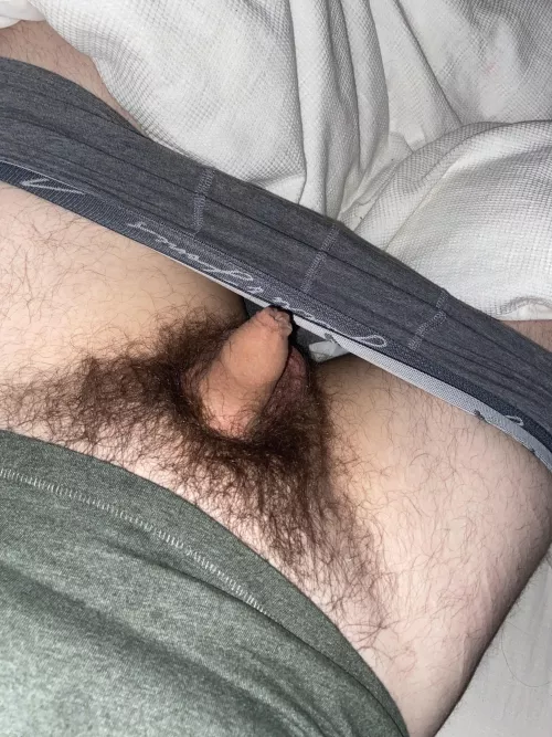 i love tiny softies tbh😅 by plaid-shirt-days