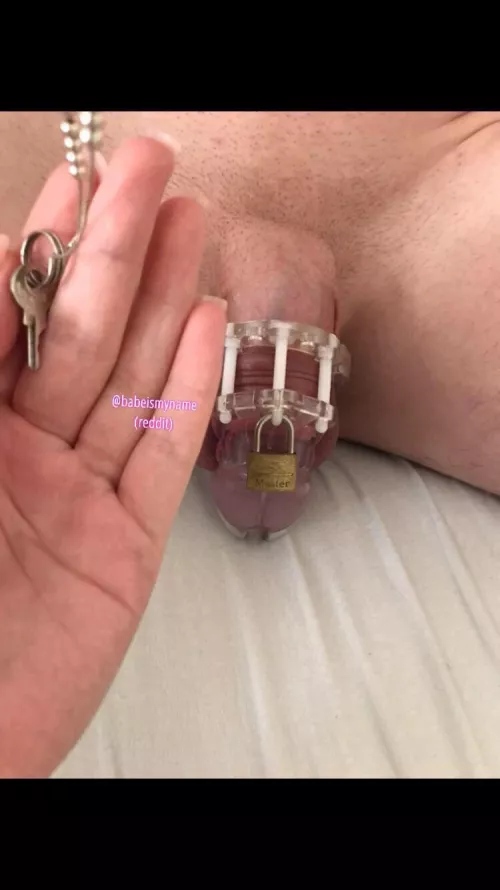 I love to lock up dicks! 😈 (f20) by Babeismyname