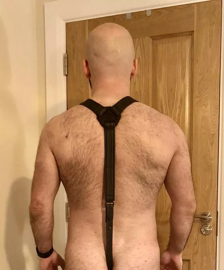 I love wearing my harnesses…just where does that strap go? 😈 posted by dareyouventure