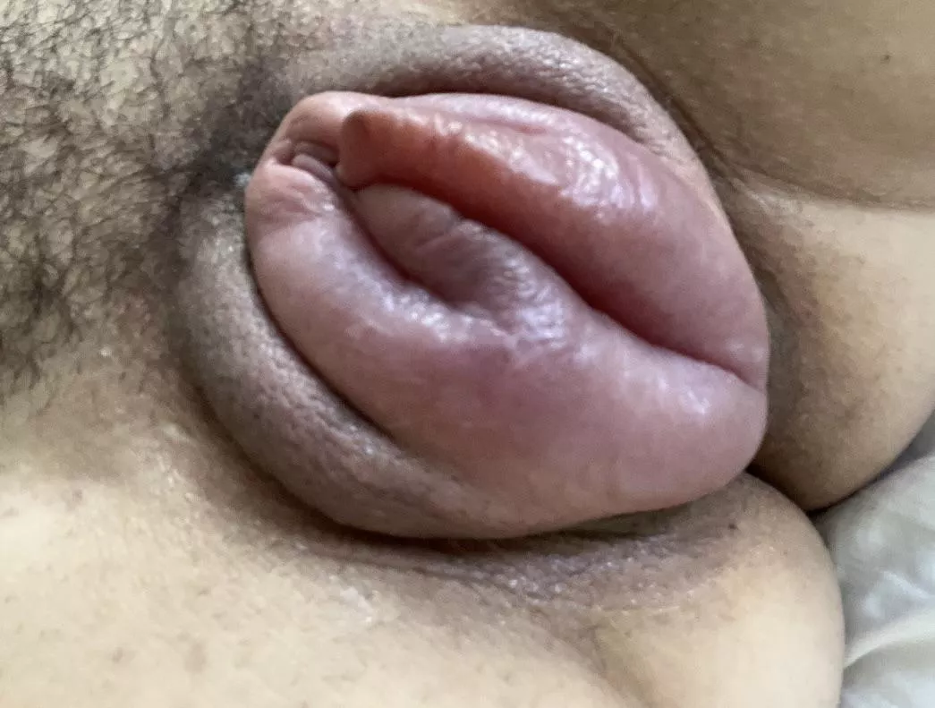 I love when I get this size posted by PaleontologistOk9913