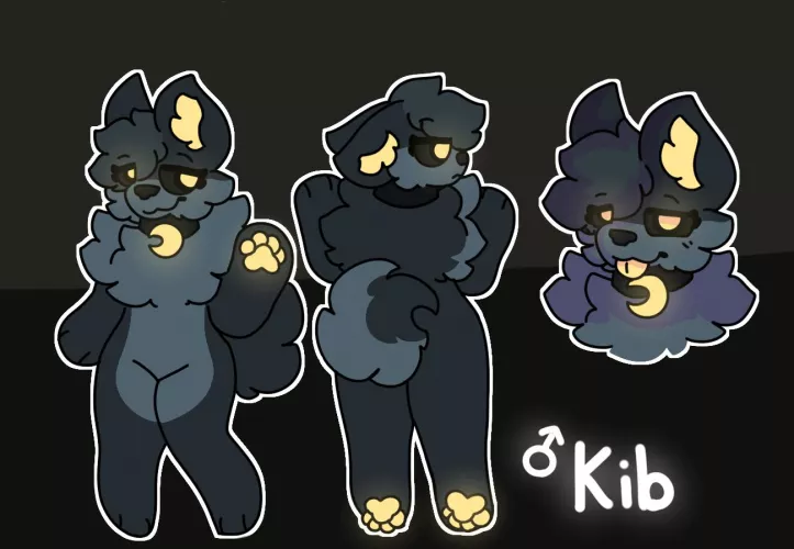 I made a ref sheet for Kib :) by TotallyNotFur