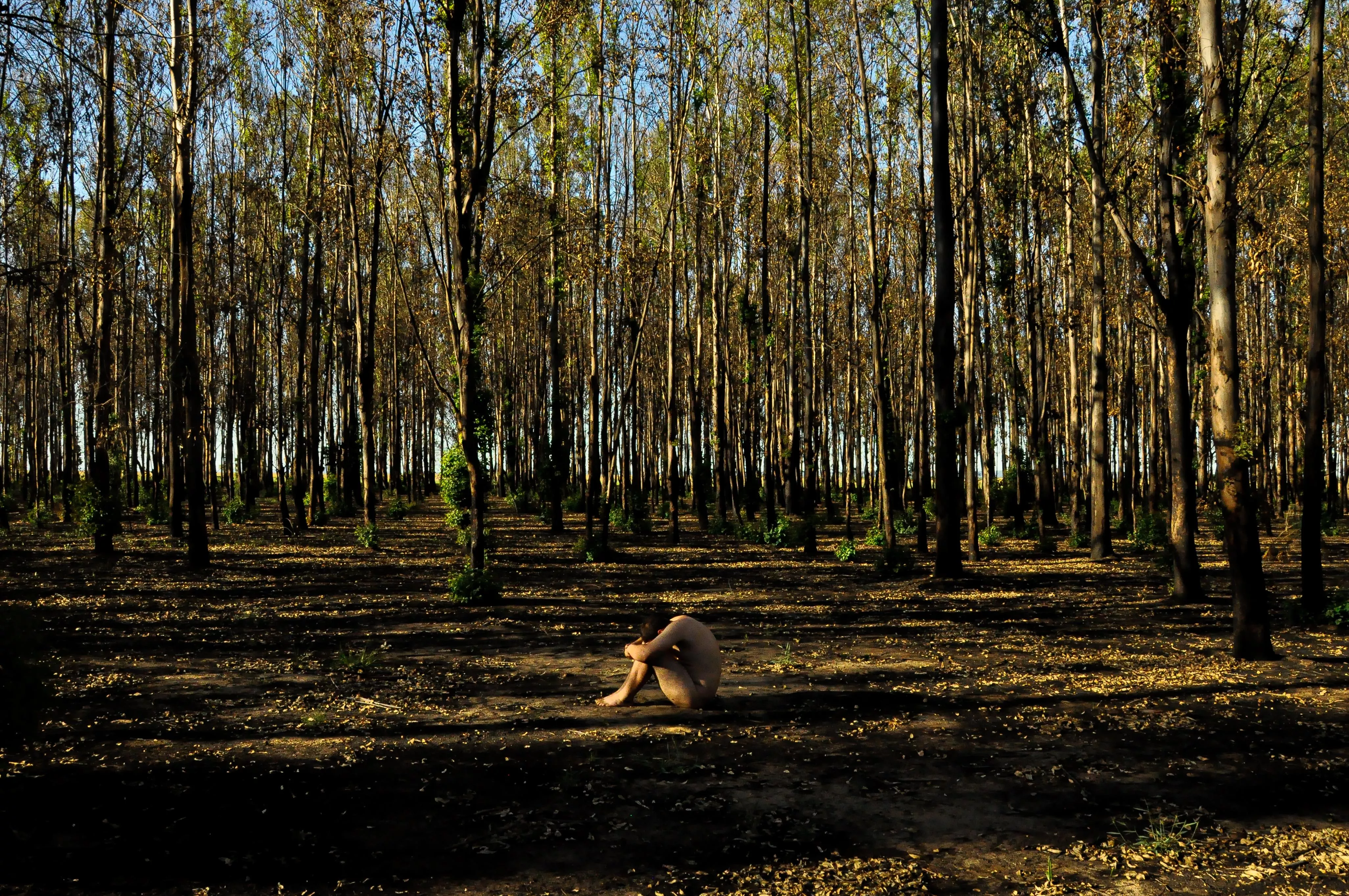 I make this art with my body, a camera and the nature. 💚 posted by CourierSixUry