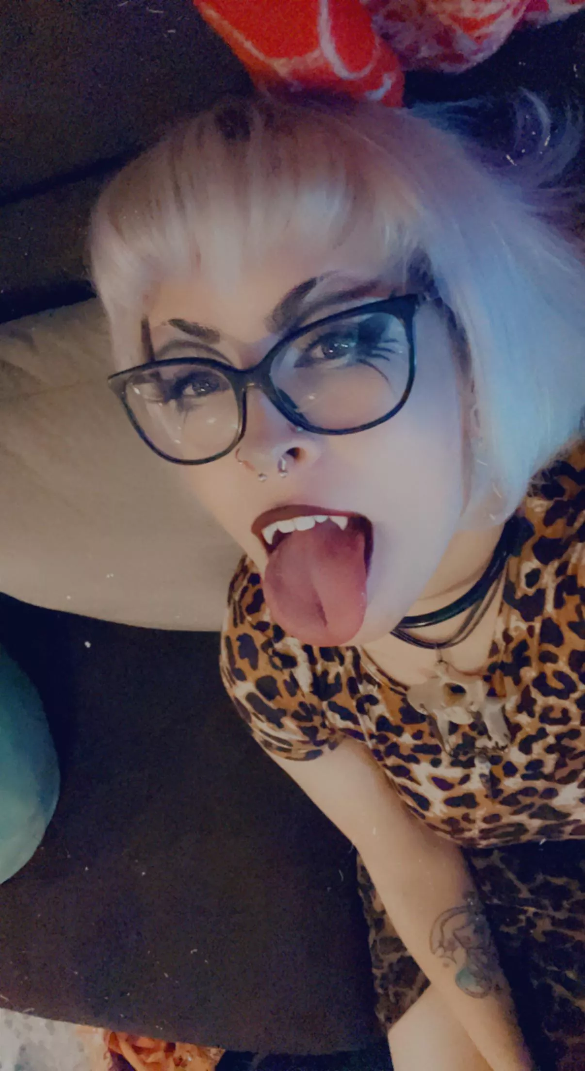 I may be a sexxy vamp but I always keep my collar on~ posted by deadlystitchkitten