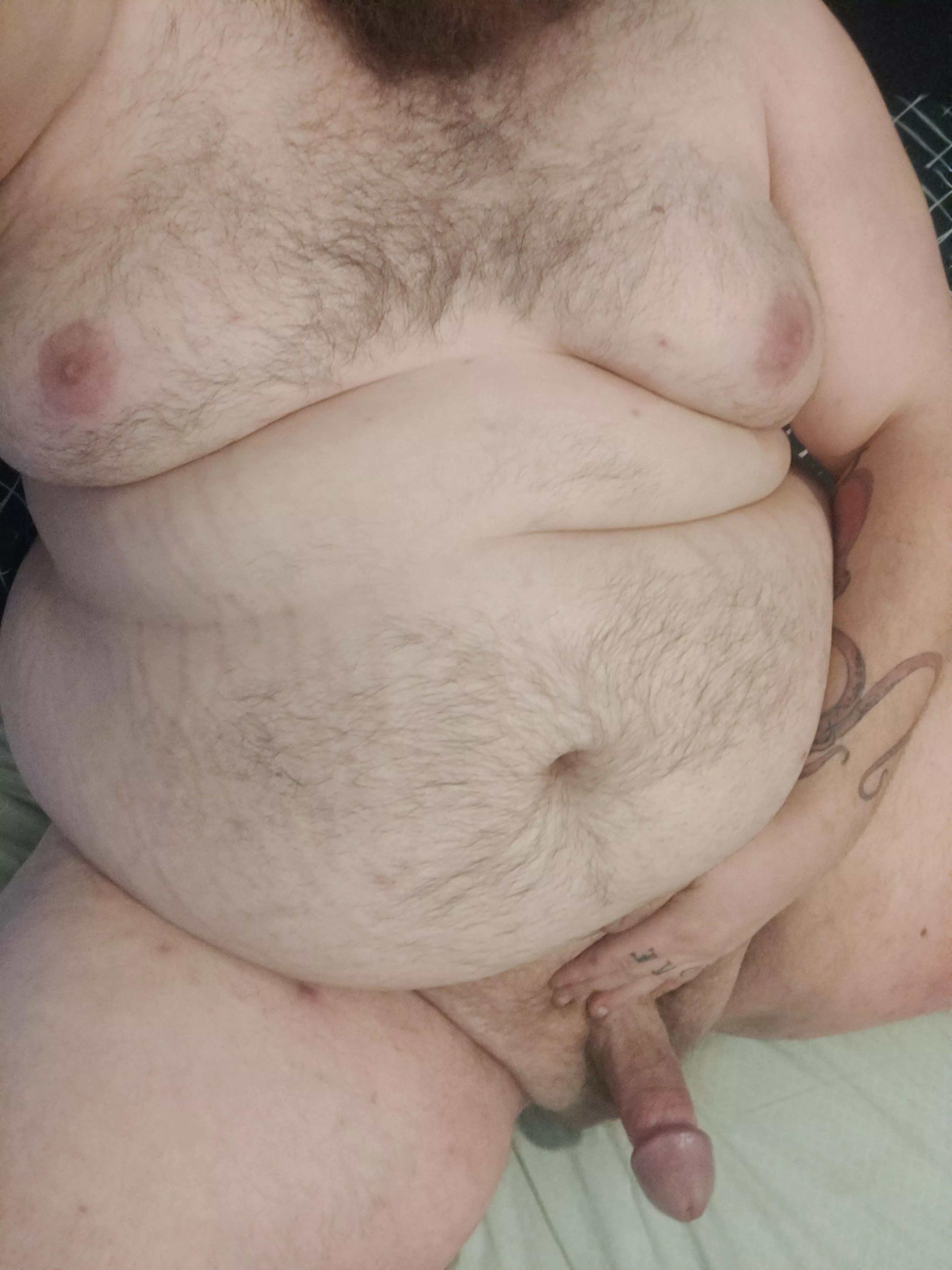 I need a bbw in my life posted by DaddyBohab