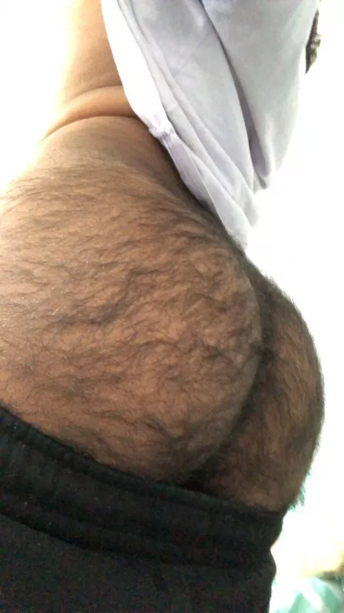 i need a dom to breed me by Maleficent-Tap148