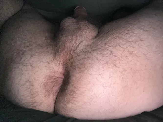 I need a face to ride!😈 by Austyn_17