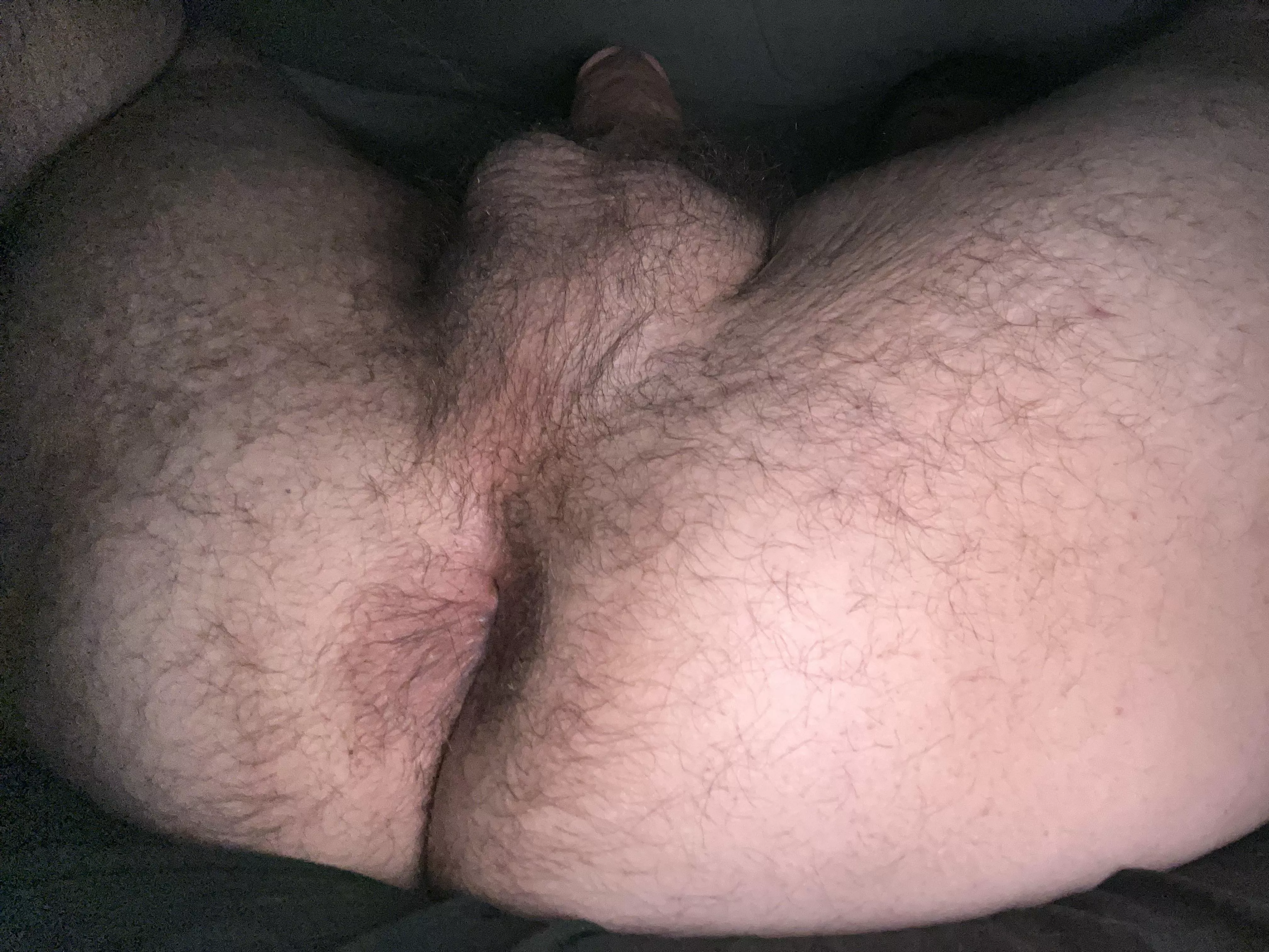 I need a face to ride!😈 posted by Austyn_17