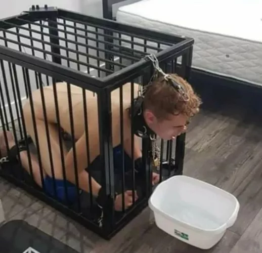 I need a sissy to humiliate by imissyousadie