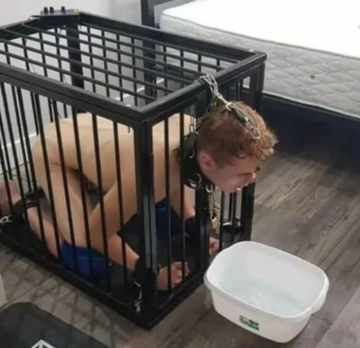 I need a sissy to humiliate posted by imissyousadie