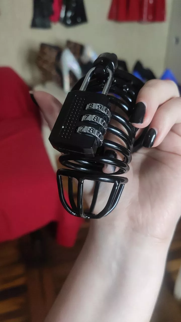 I need a slave posted by StasyBlaze