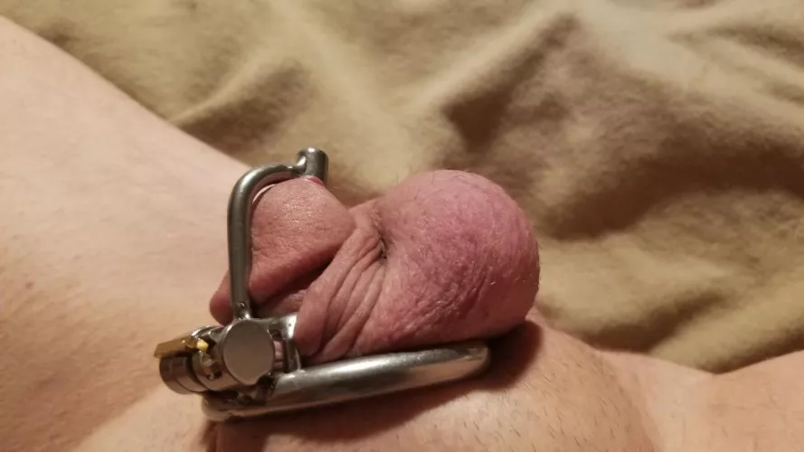 I need a smaller cage by Comprehensive_Fox172