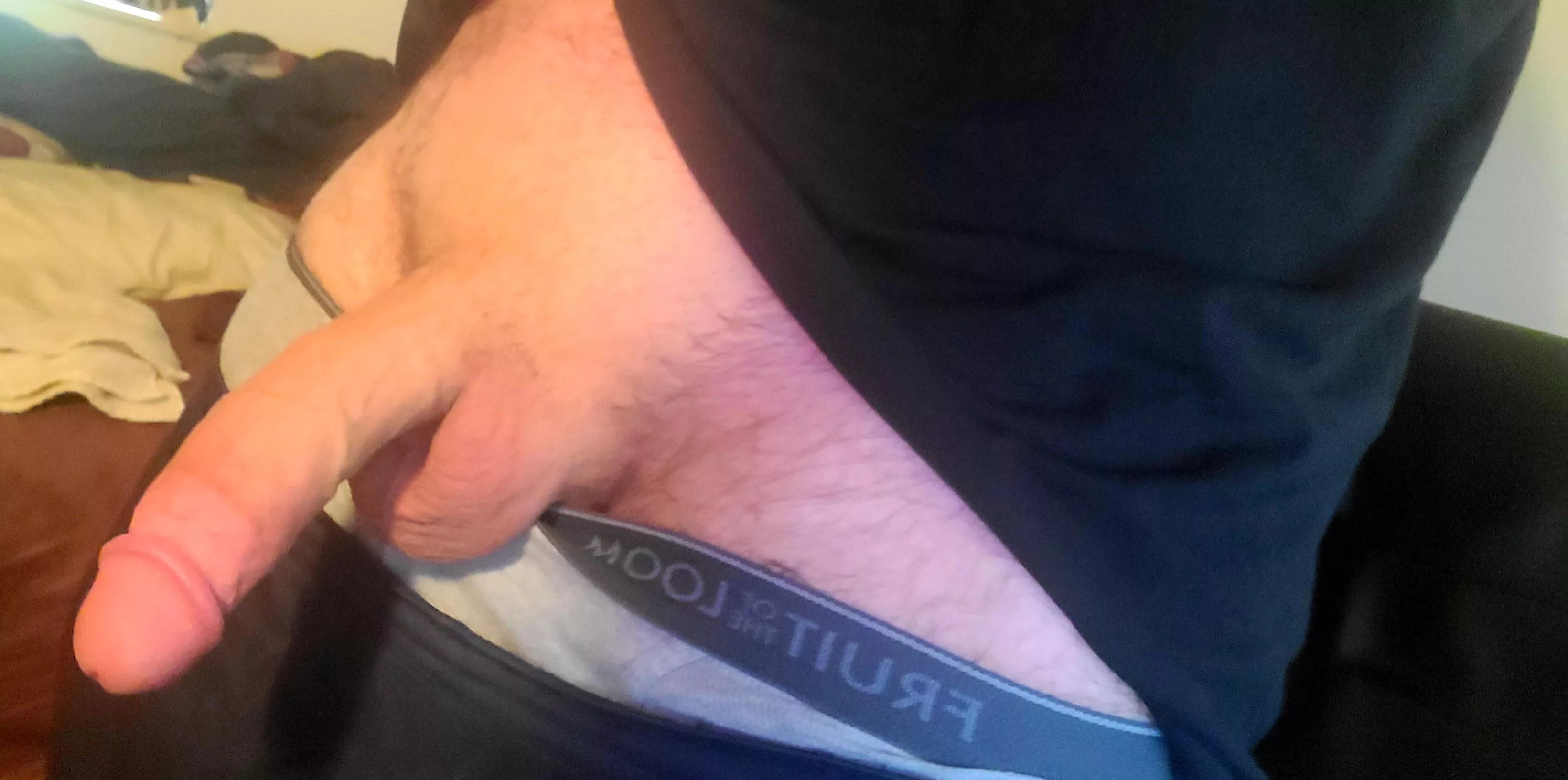 I need a volunteer from the audience! posted by hornylizardking