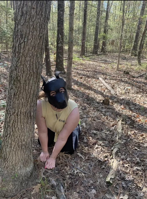 I need a walk!! by Dragonkwami