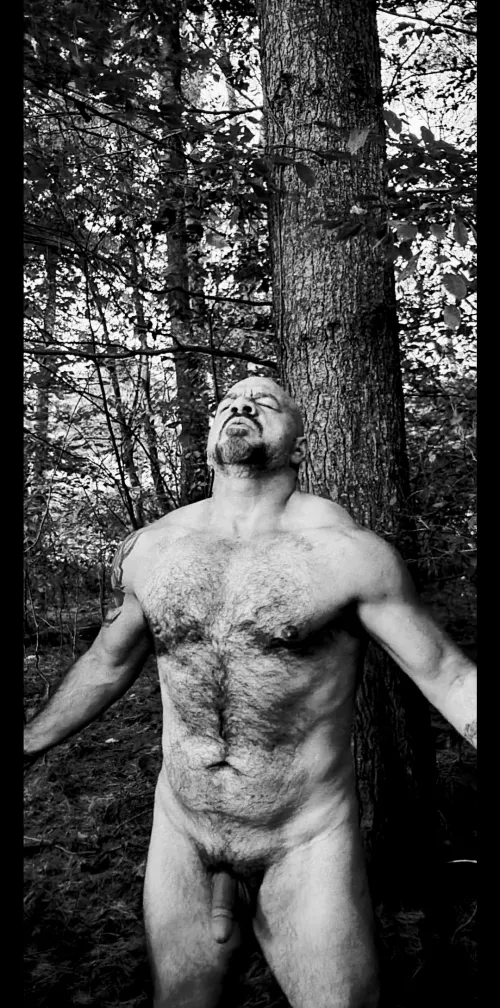 I need prey to hunt (48) by RiverRat74