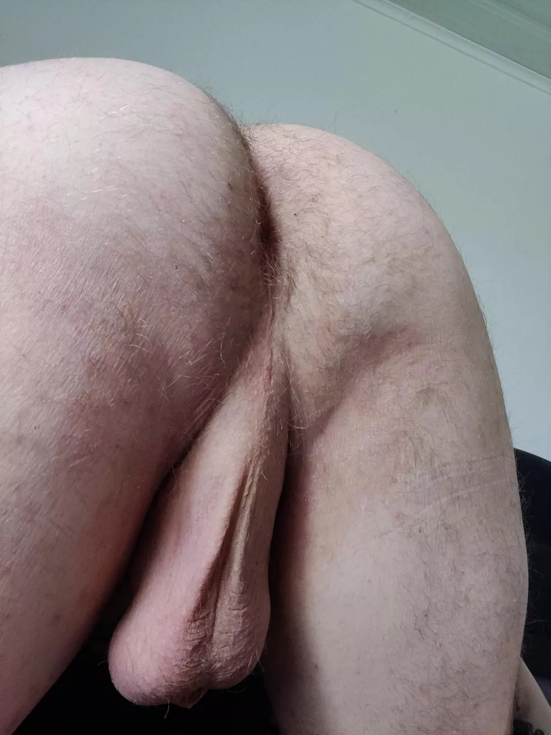 I need someone to breed my hairy hole posted by That_one_bearded_man
