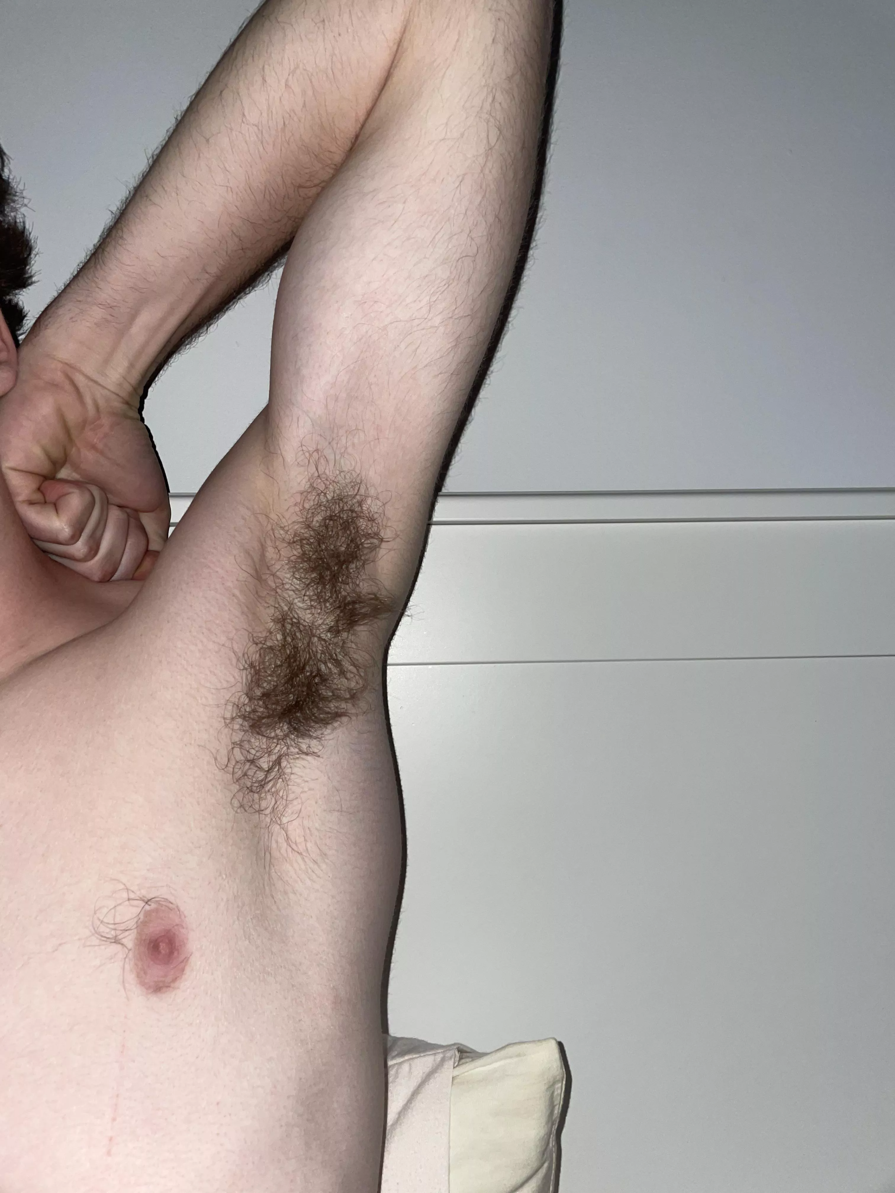 I need someone to eat them 😢 posted by Aggressive-Crow7044