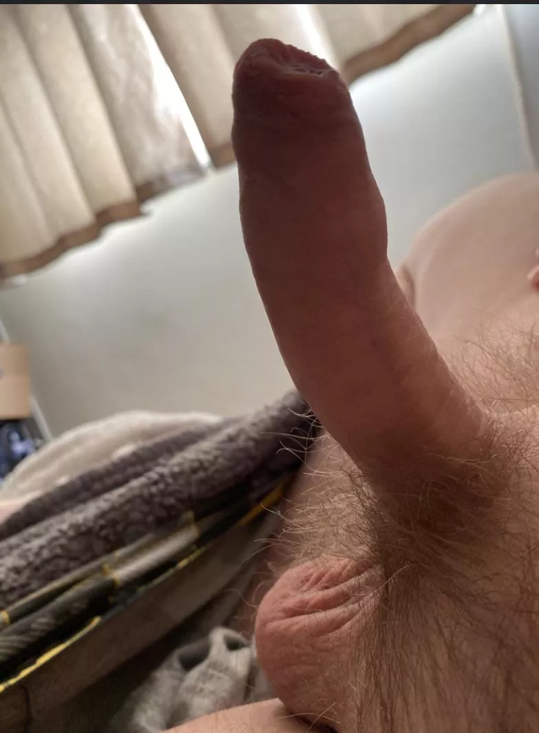 I need someone to take care of my morning wood posted by TobiasValentine