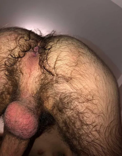 I need someone who wants to ufck my ass by nepalesegusty