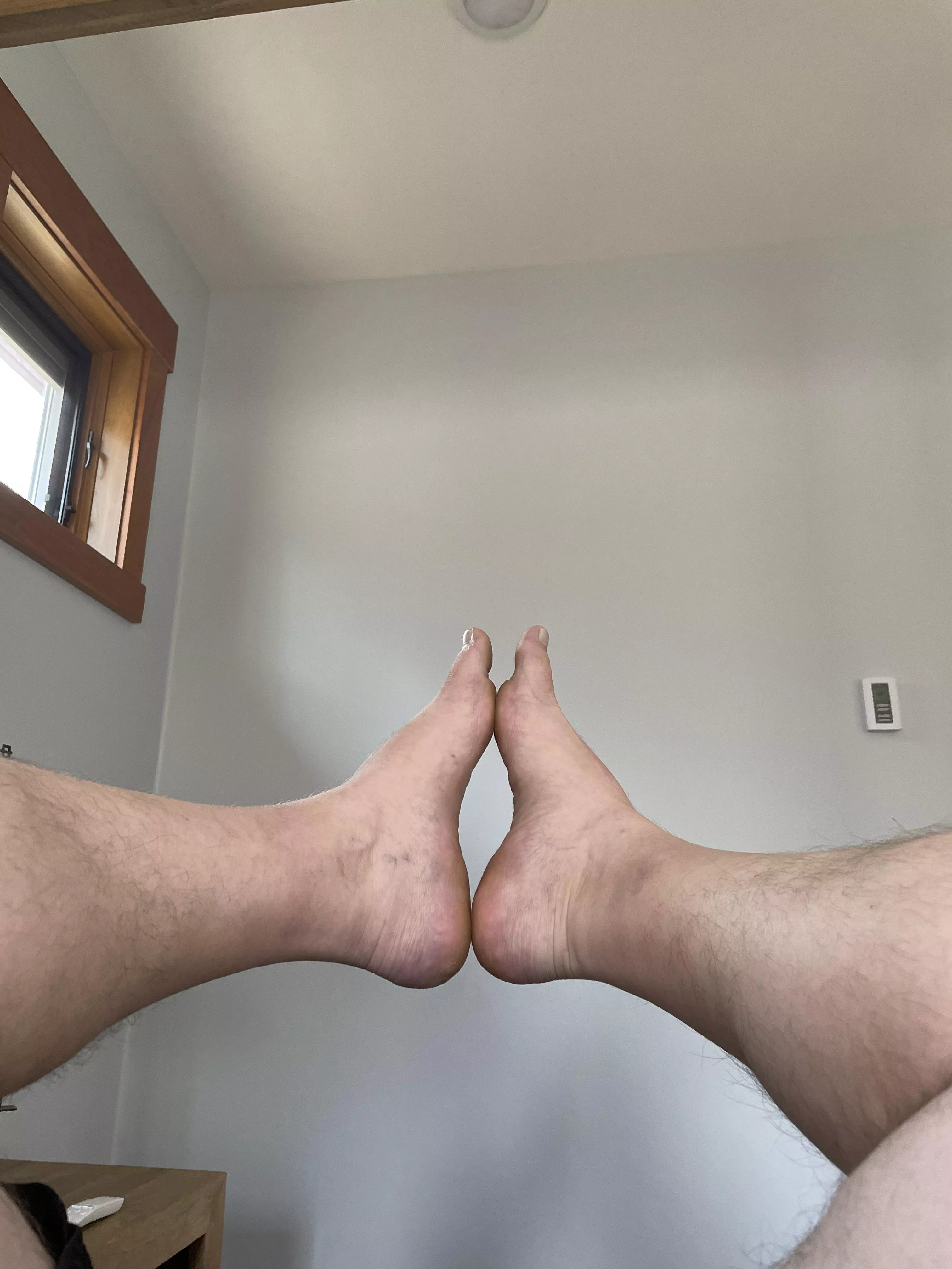 I need something hard between them posted by IndyBartender420