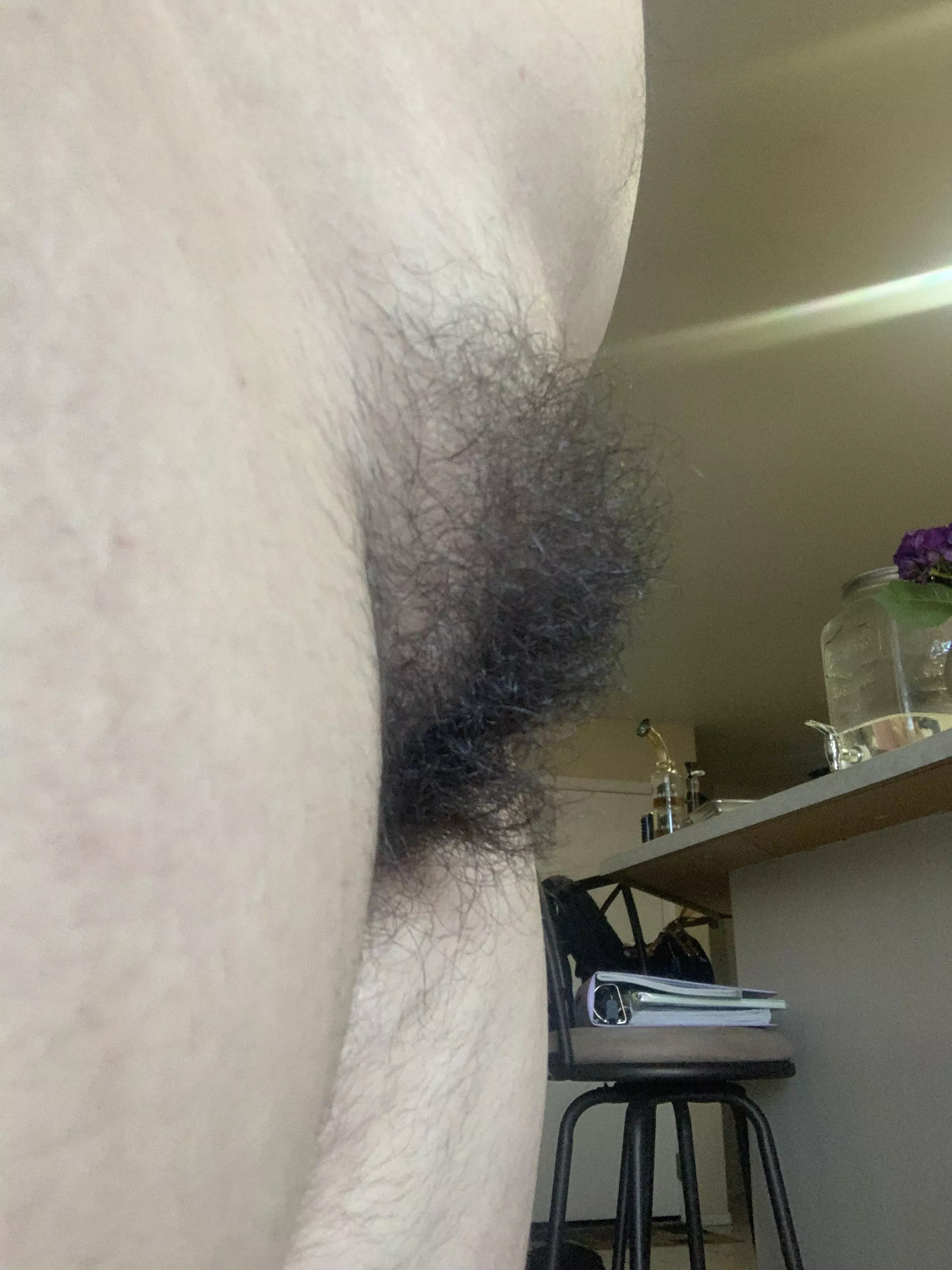 I present to you: bush mohawk posted by cherrythemistress