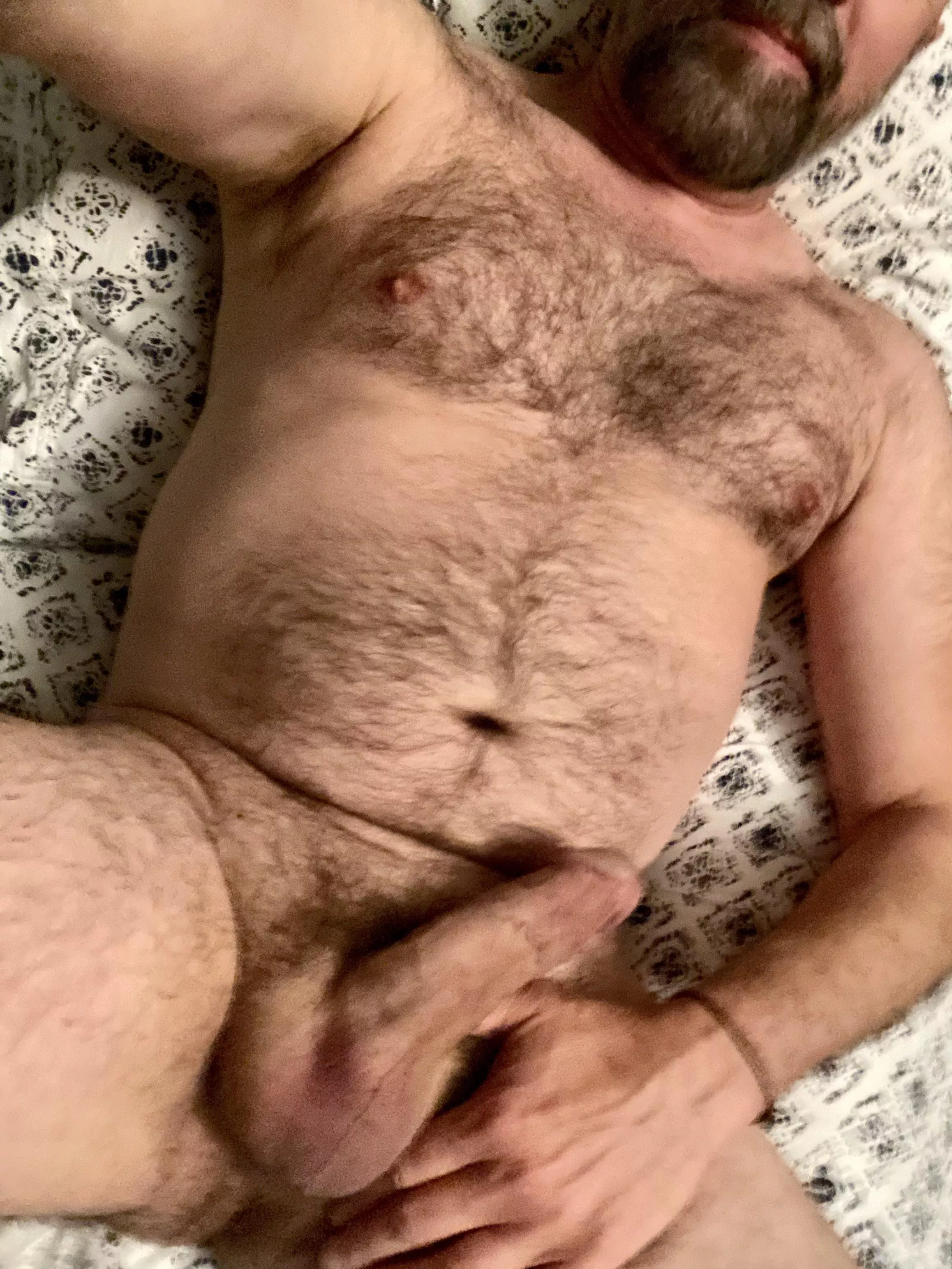 I really didn’t want to get out of bed this morning… posted by hairy_monkee