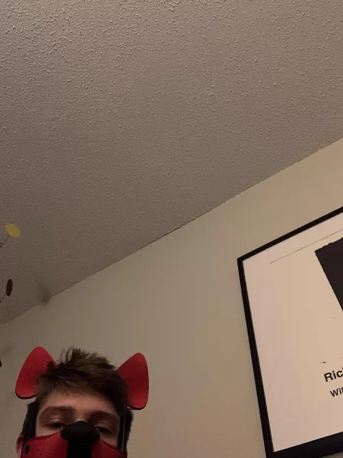 i sent u my bone pls respond by iaqov