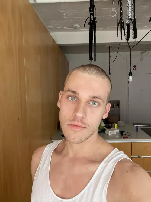 I shaved my head! It gets cold in the wind now by Hypoallogenic