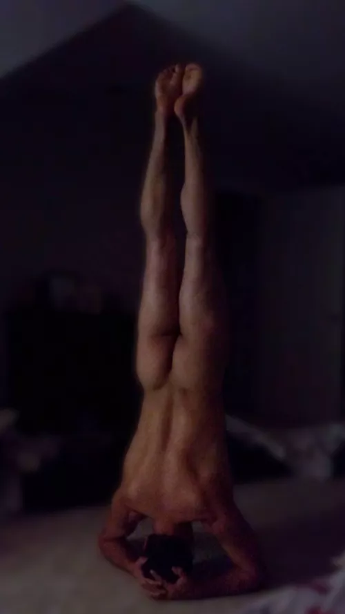 I start my day and end my day with Sirsasana (headstand). There are so many health benefits. It can give you better circulation, improved spinal health, increased skin elasticity, healthier hair, better organic functioning. Need a yoga teacher? I'm here by NakedYogaTiger