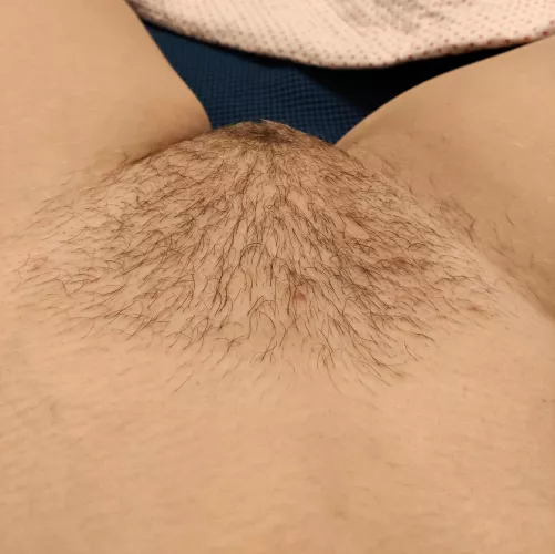 I started growing my 🪴 by -MrsRosa-