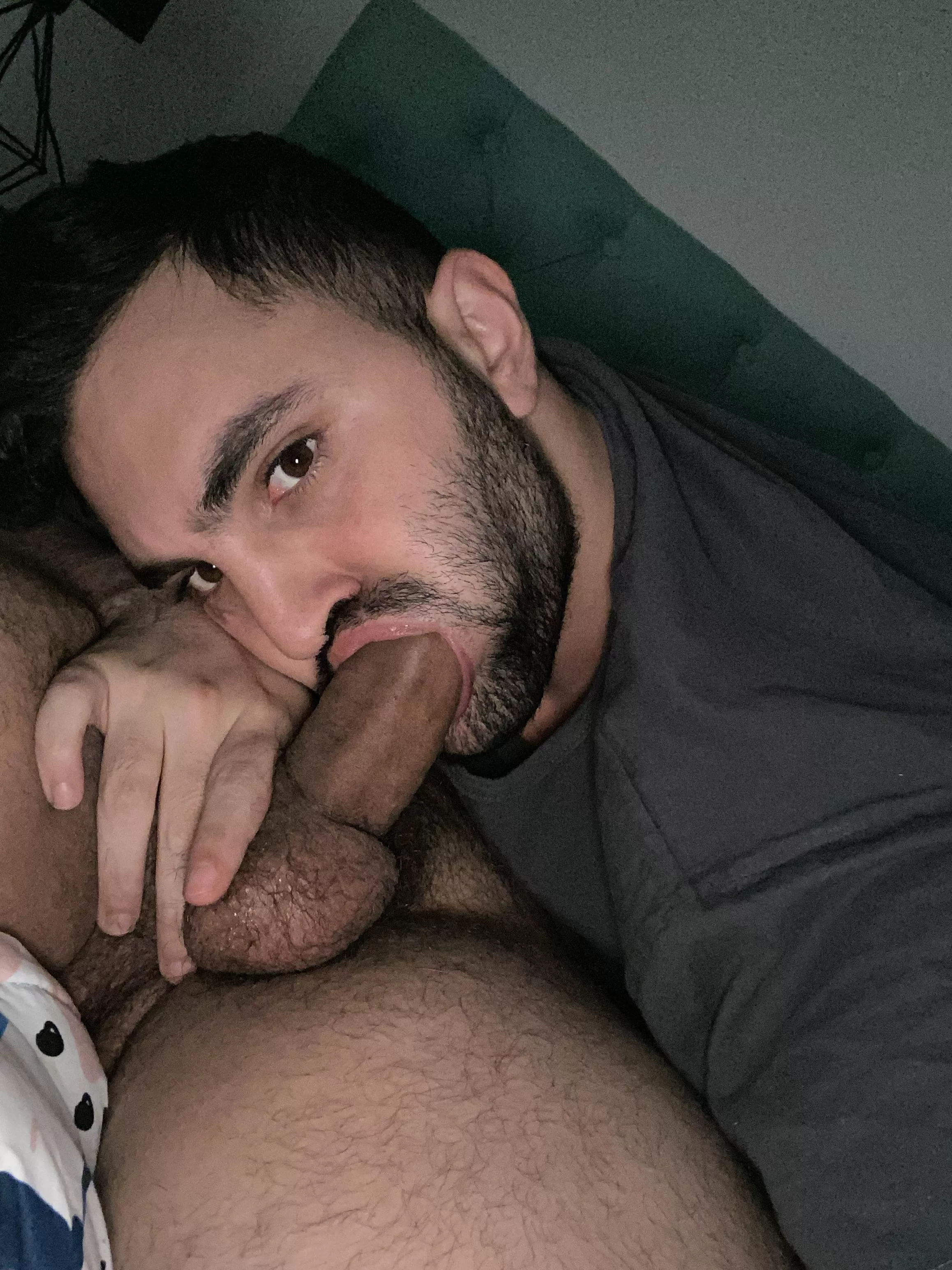 I suck my bear’s dick posted by Morbosros