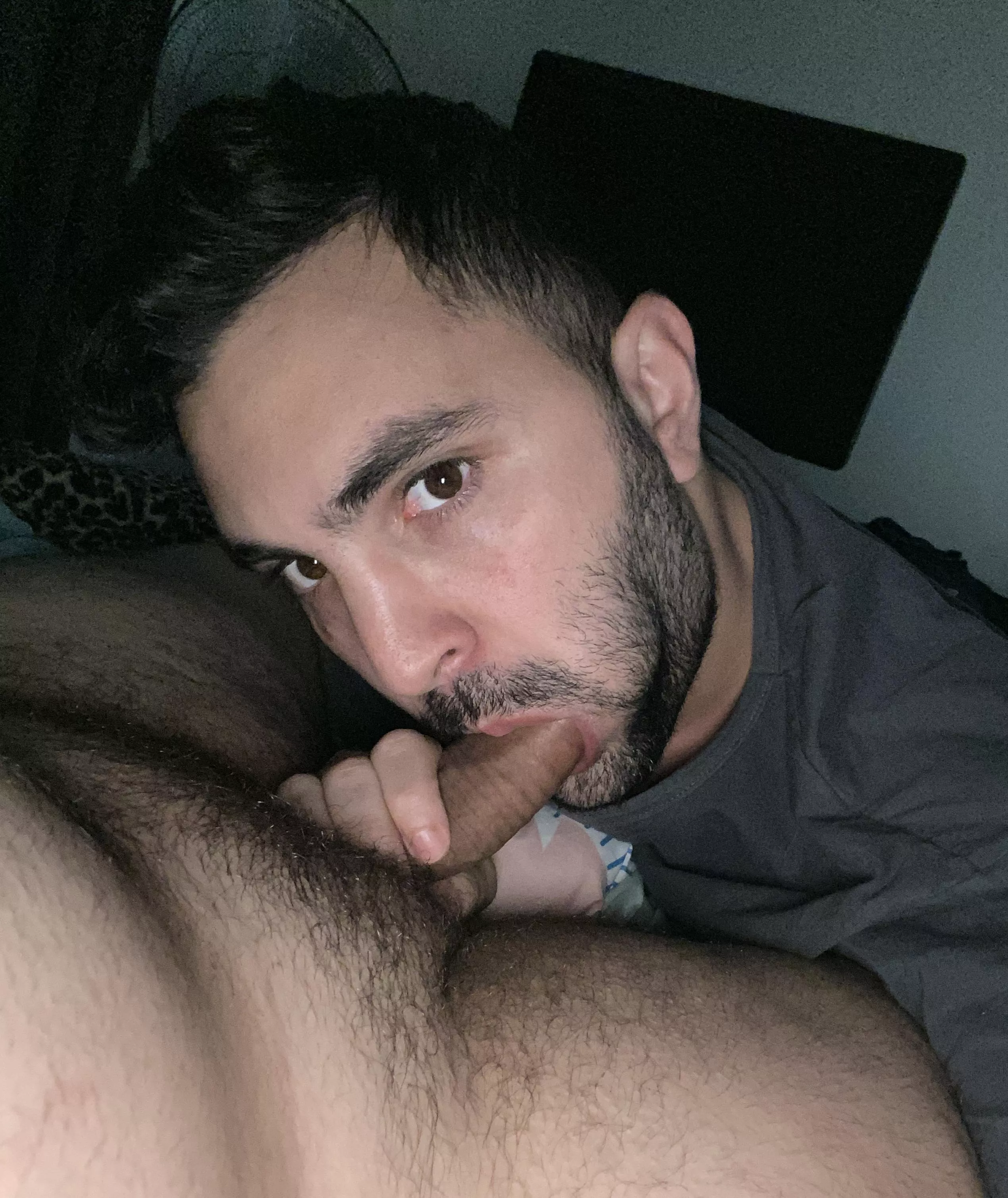 I suck my bf’s cock posted by Morbosros