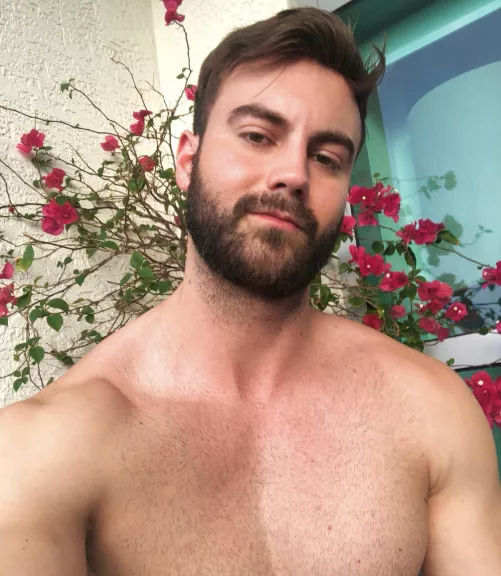 I survived the California heat wave by deadlyKnightshadee