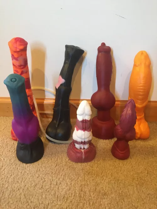 I think I have a type by Wonderful_Anybody679