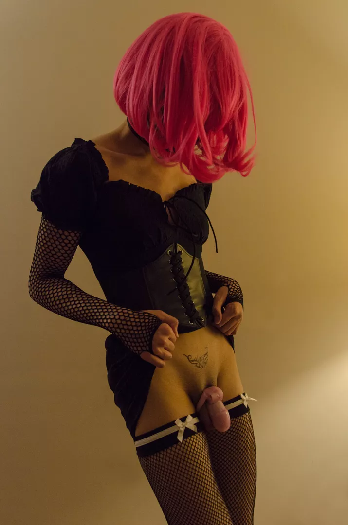 I think I need a smaller cage posted by littlesecretofmine