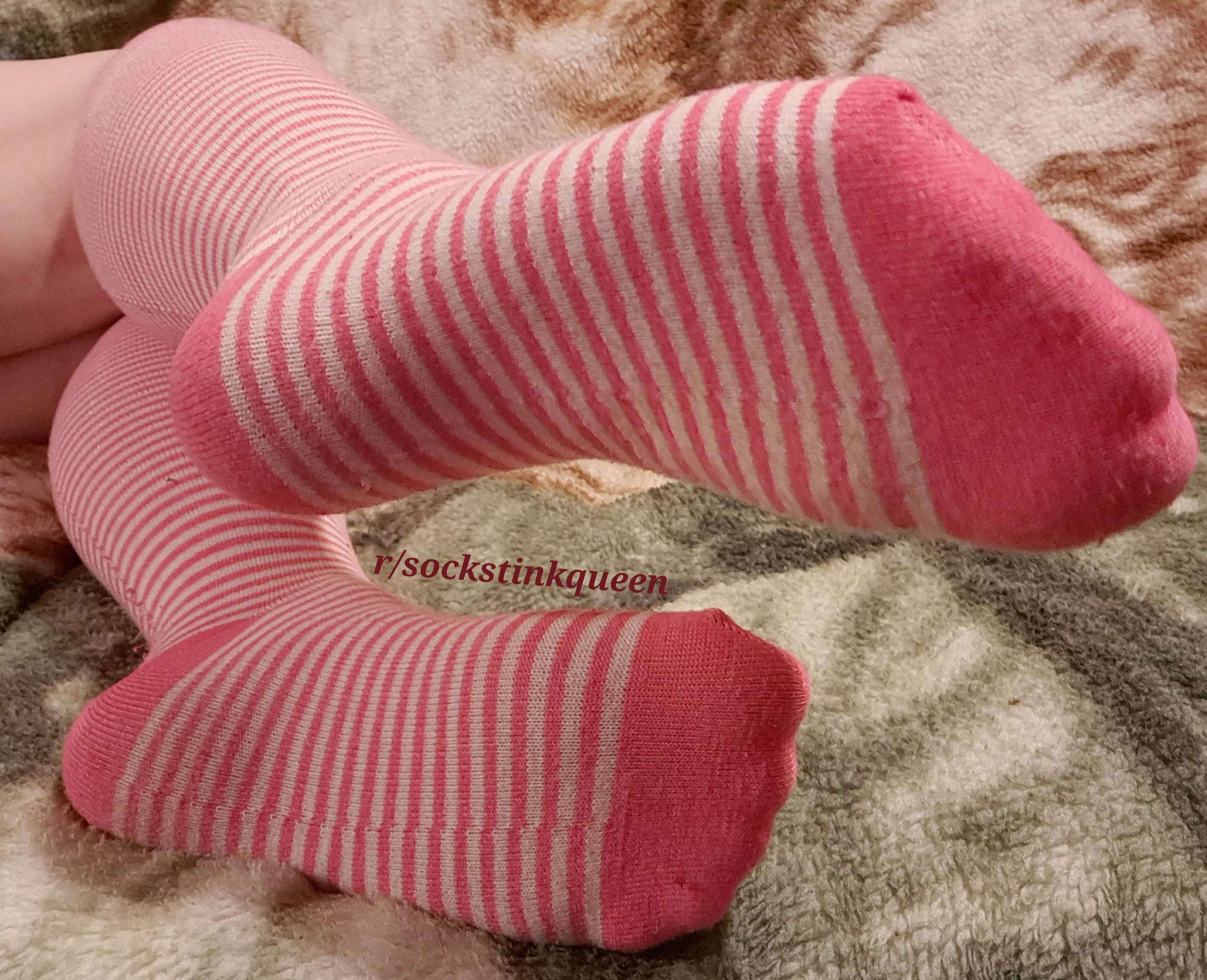I think it's hot when you sniff my socks ❤ posted by SockStinkQueen