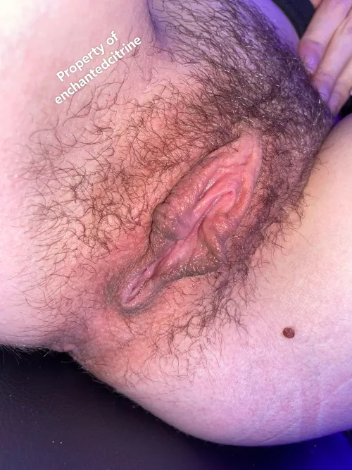 I think my cute little curls make my pussy sososo cute 🥹😍😍💞 by EnchantedCitrine