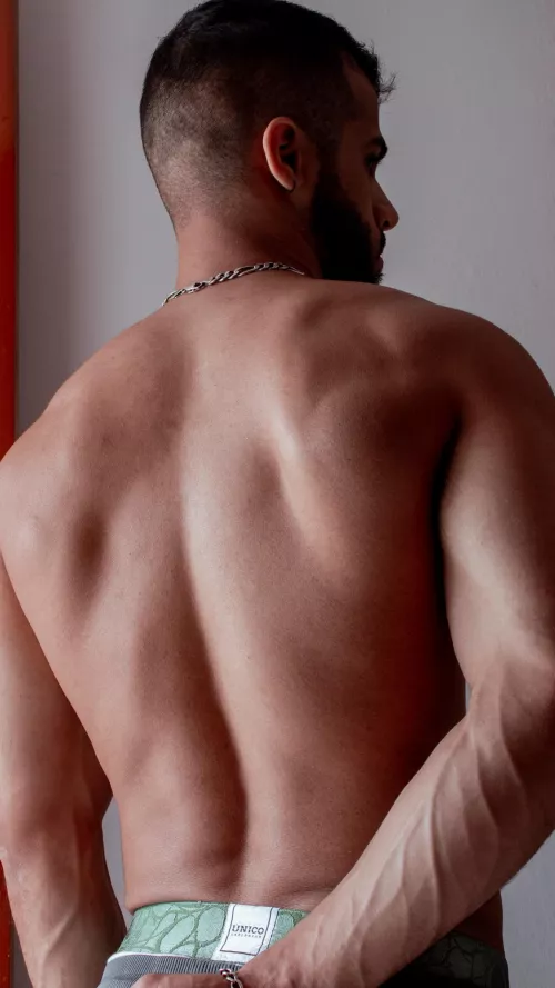 I think they fit here by anderosh