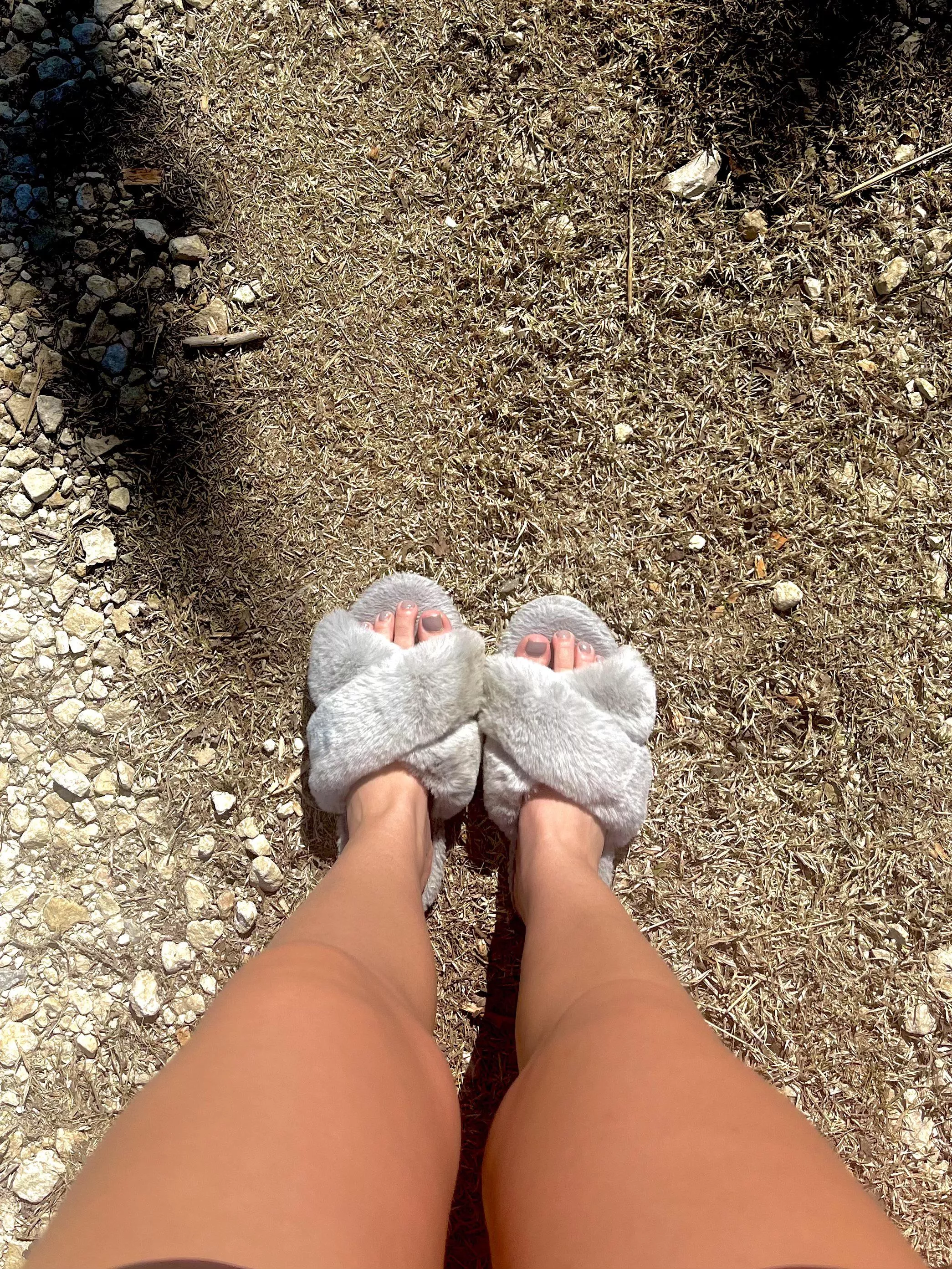 I took this while walking my dog, want a sniff? posted by kyleereece