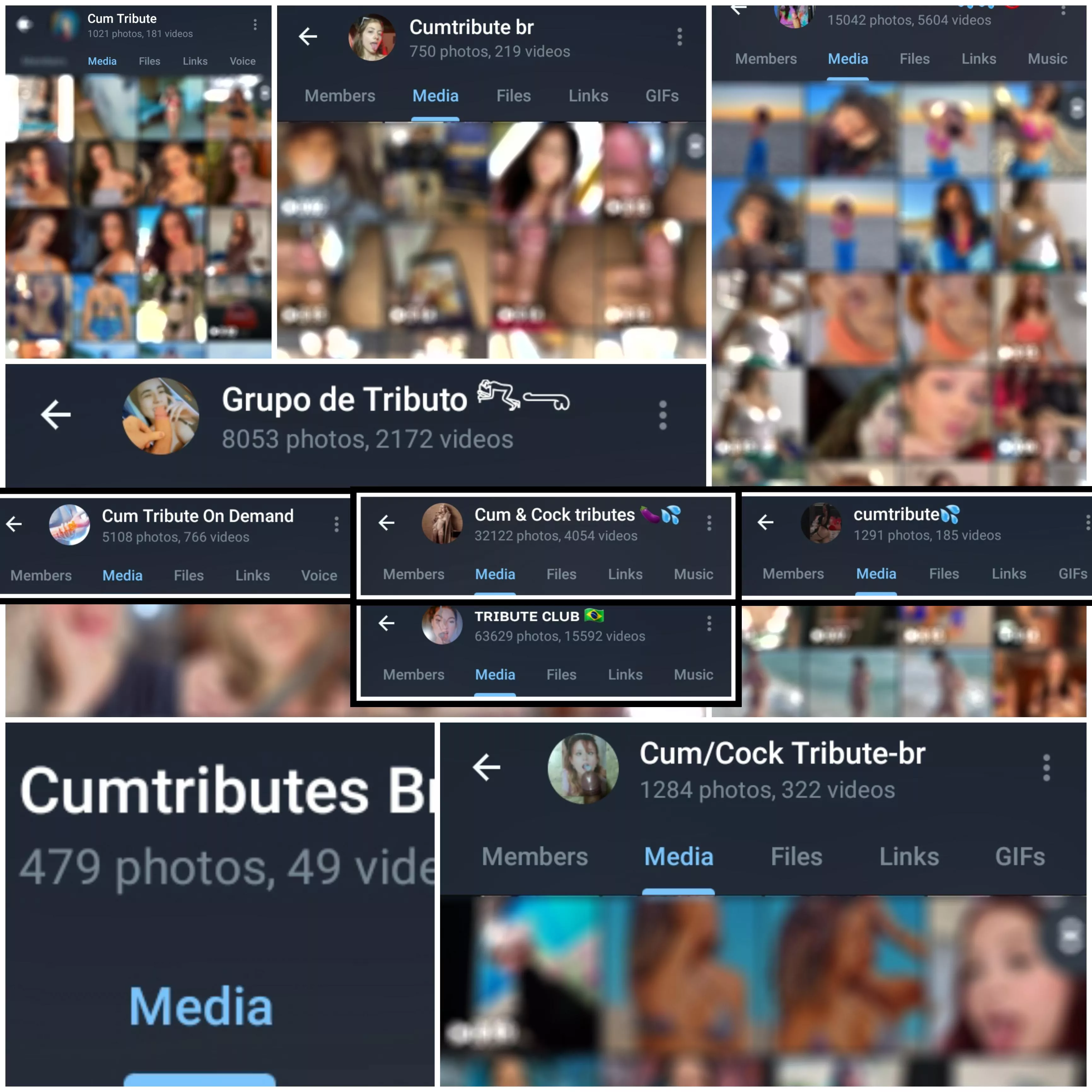 I trade tribute group links for more than 10 per tribs send kik: VinnSSP posted by NoMajor7394