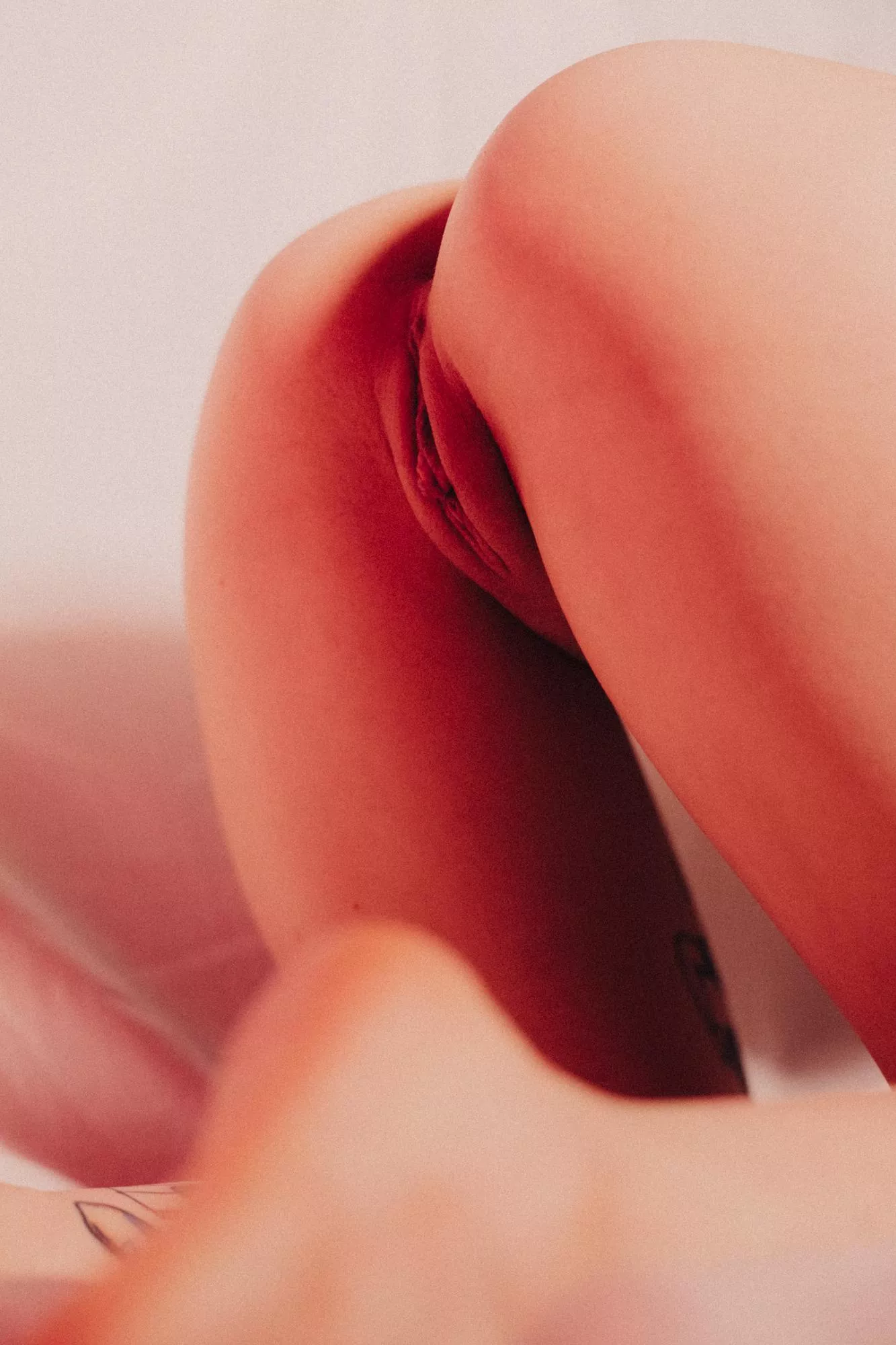 I used to have complexes about my pussy. Fortunately, that is behind me now. Pussies are beautiful! posted by The_divineve