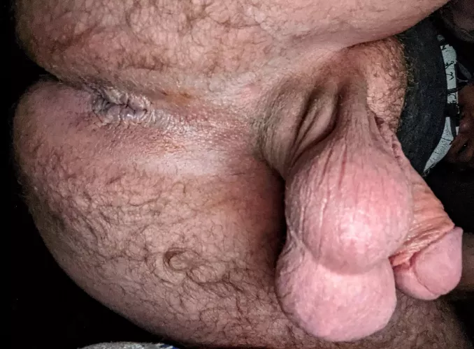 I wanna drag my smelly nuts on your face by globsofcum