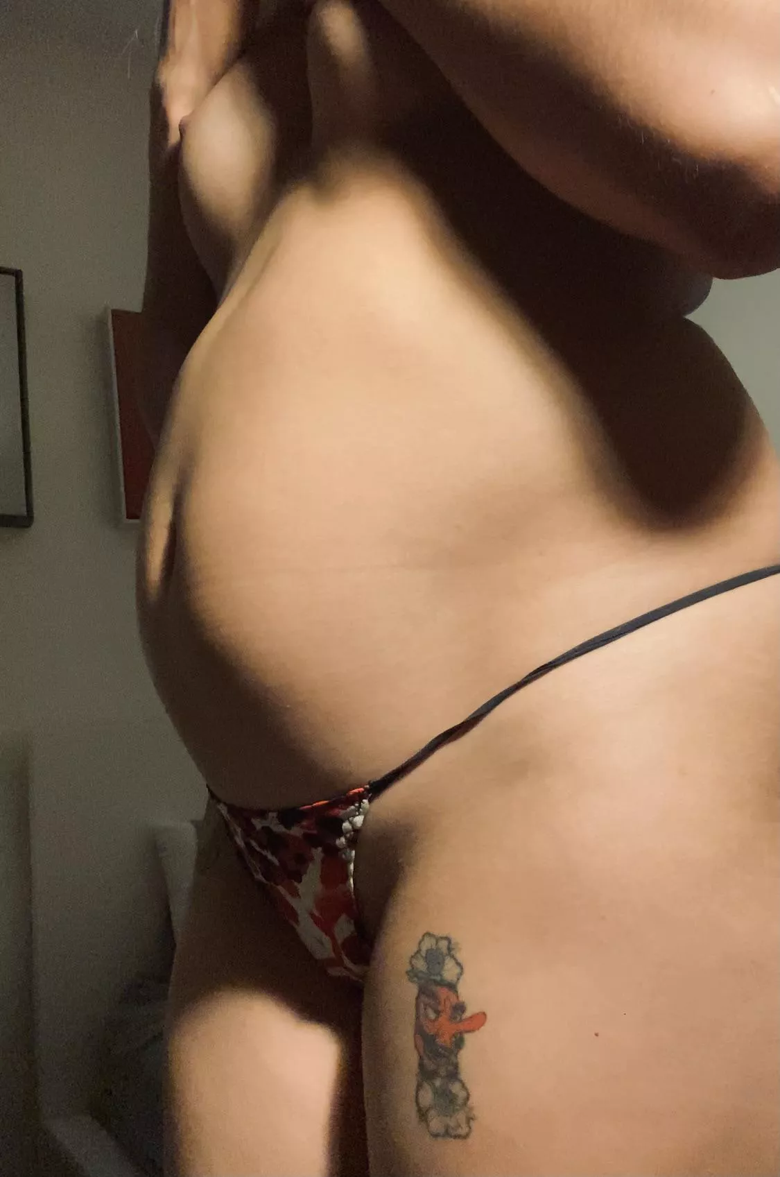 I want a feeder so bad, being hand fed and rubbed are the best feelings ever🥰 posted by Sunsiteeee