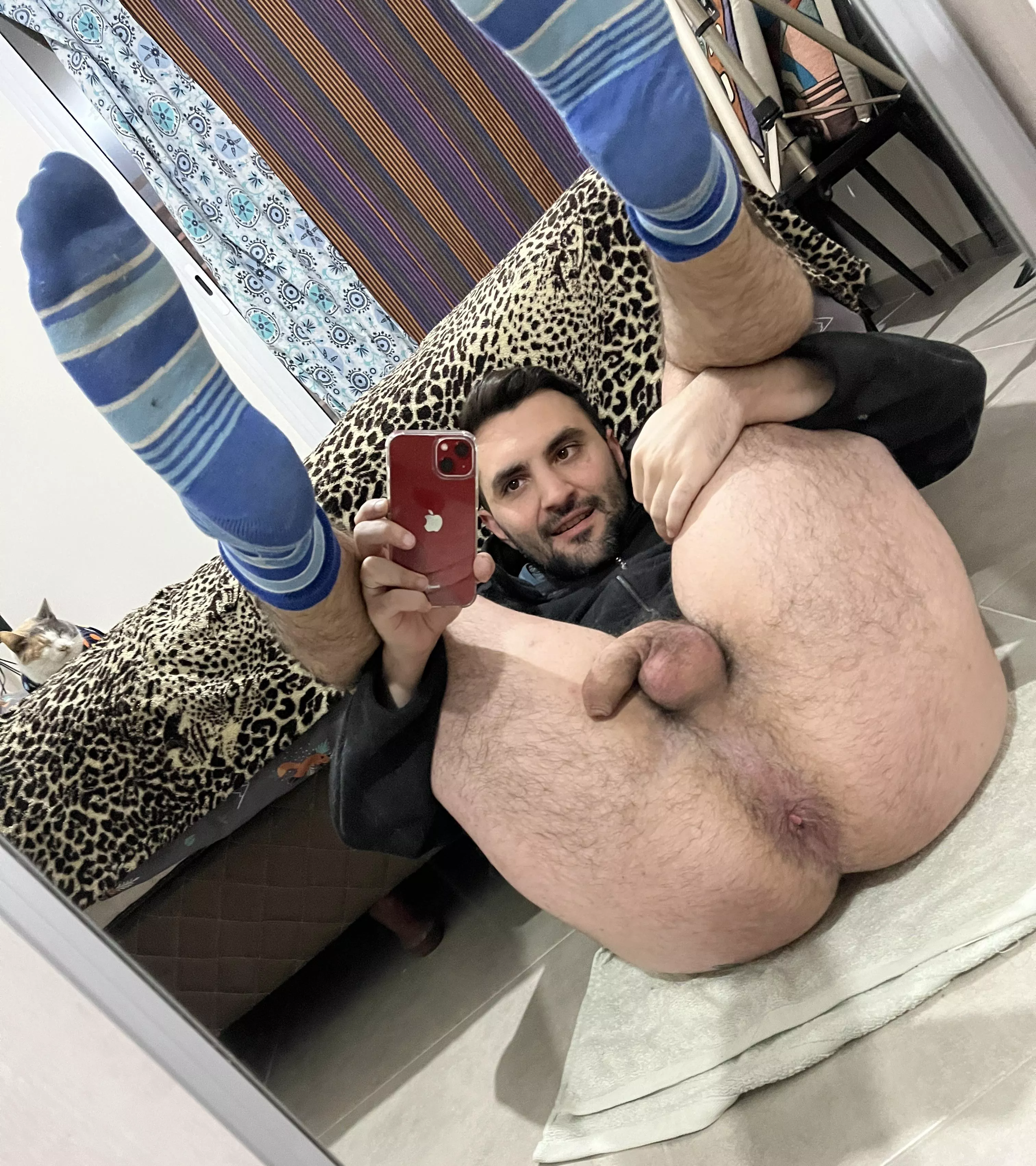 I want a lick on my ass hole posted by Morbosros