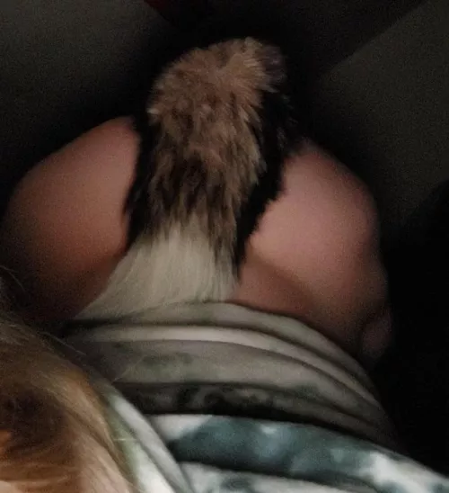 I want someone to pull my tail by Goth431